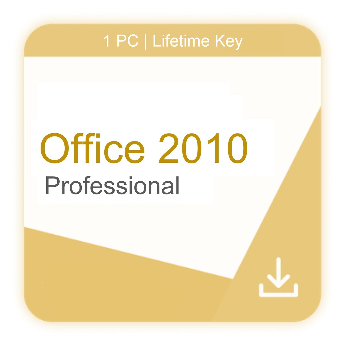 Office 2010 Professional