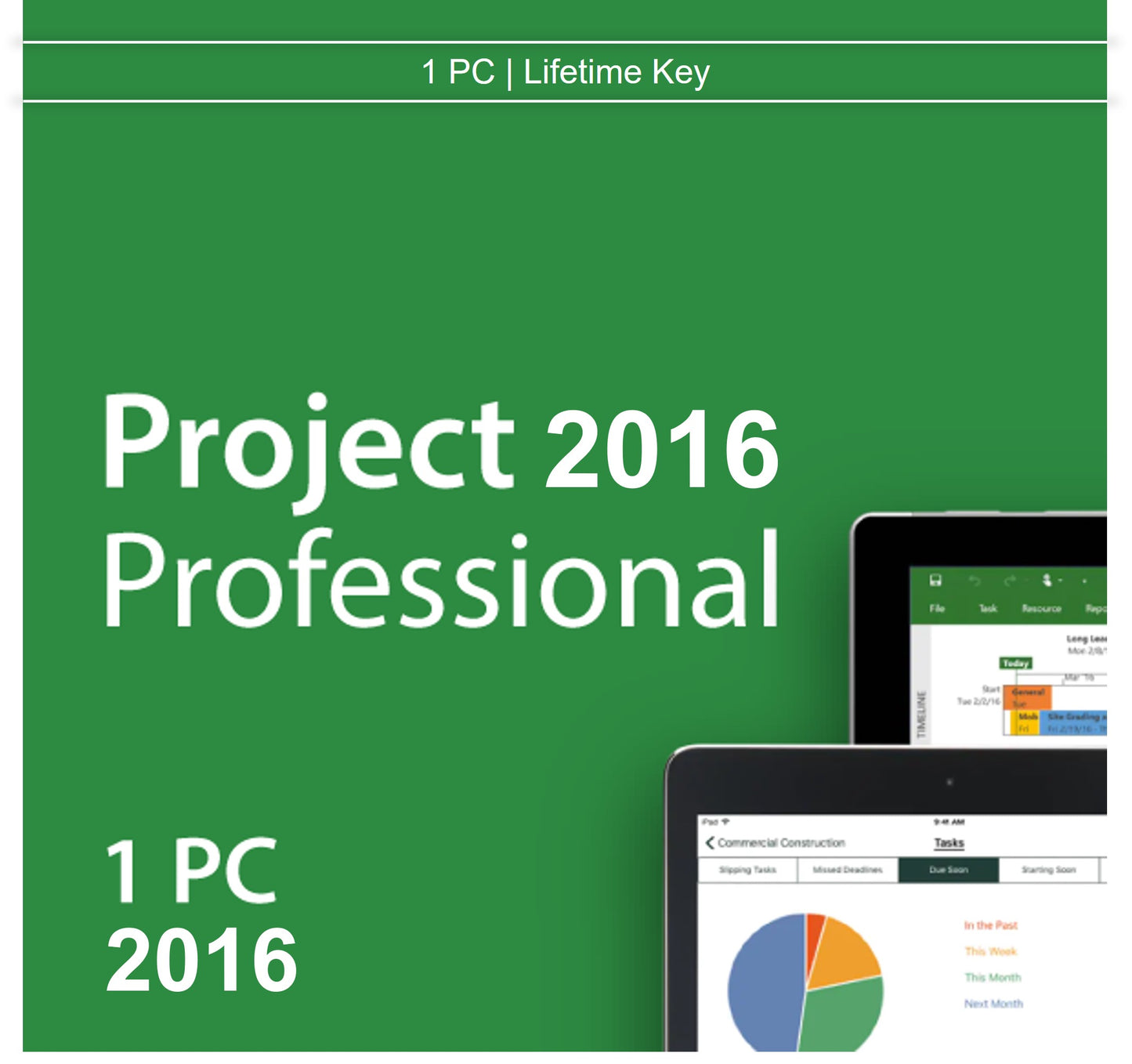 Project 2016 Professional